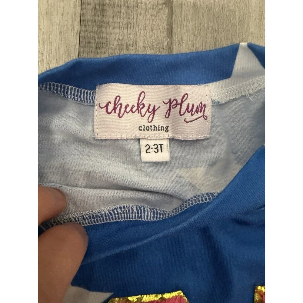 Cheeky Plum USA T Shirt Size 2-3t